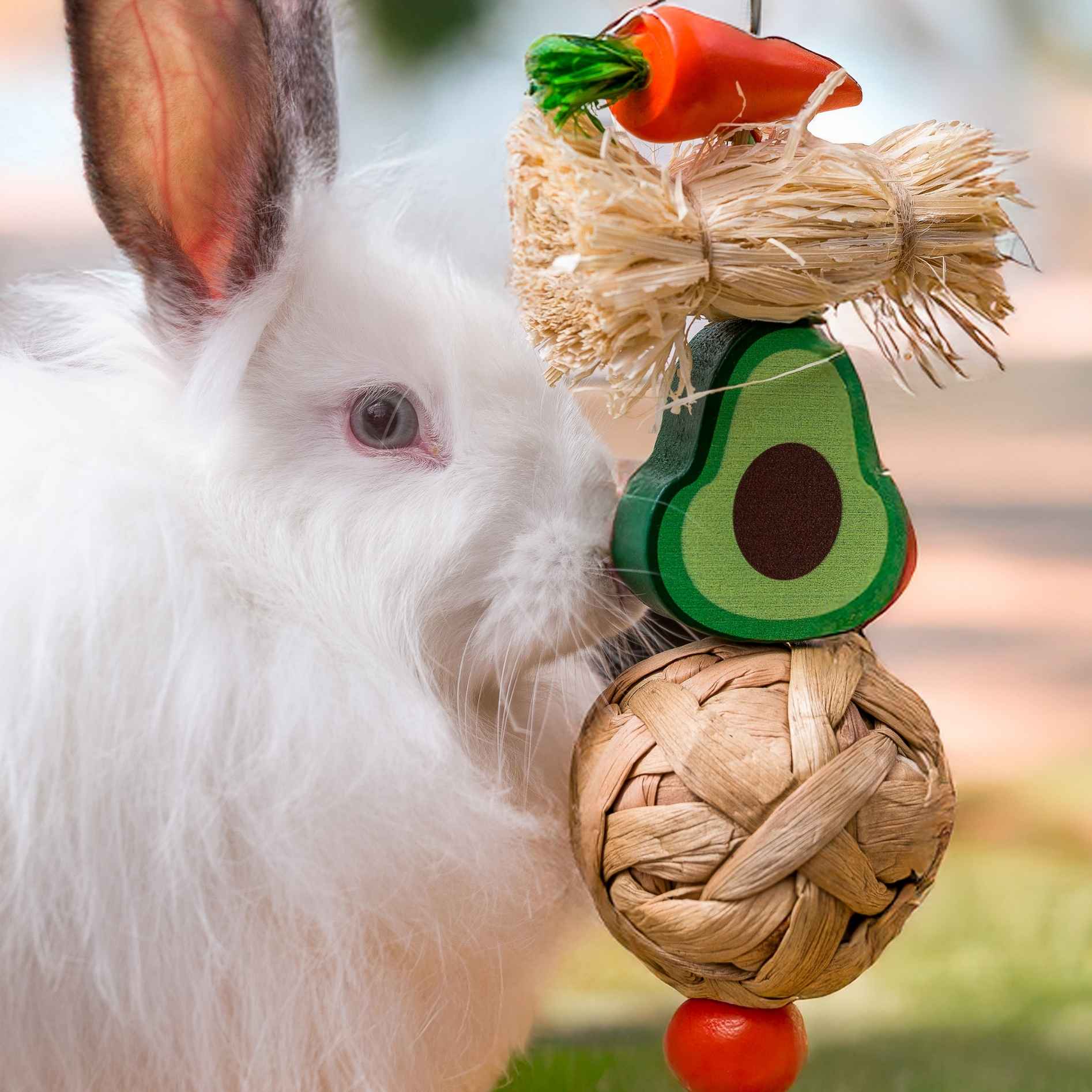 Quapas! Avocado chew